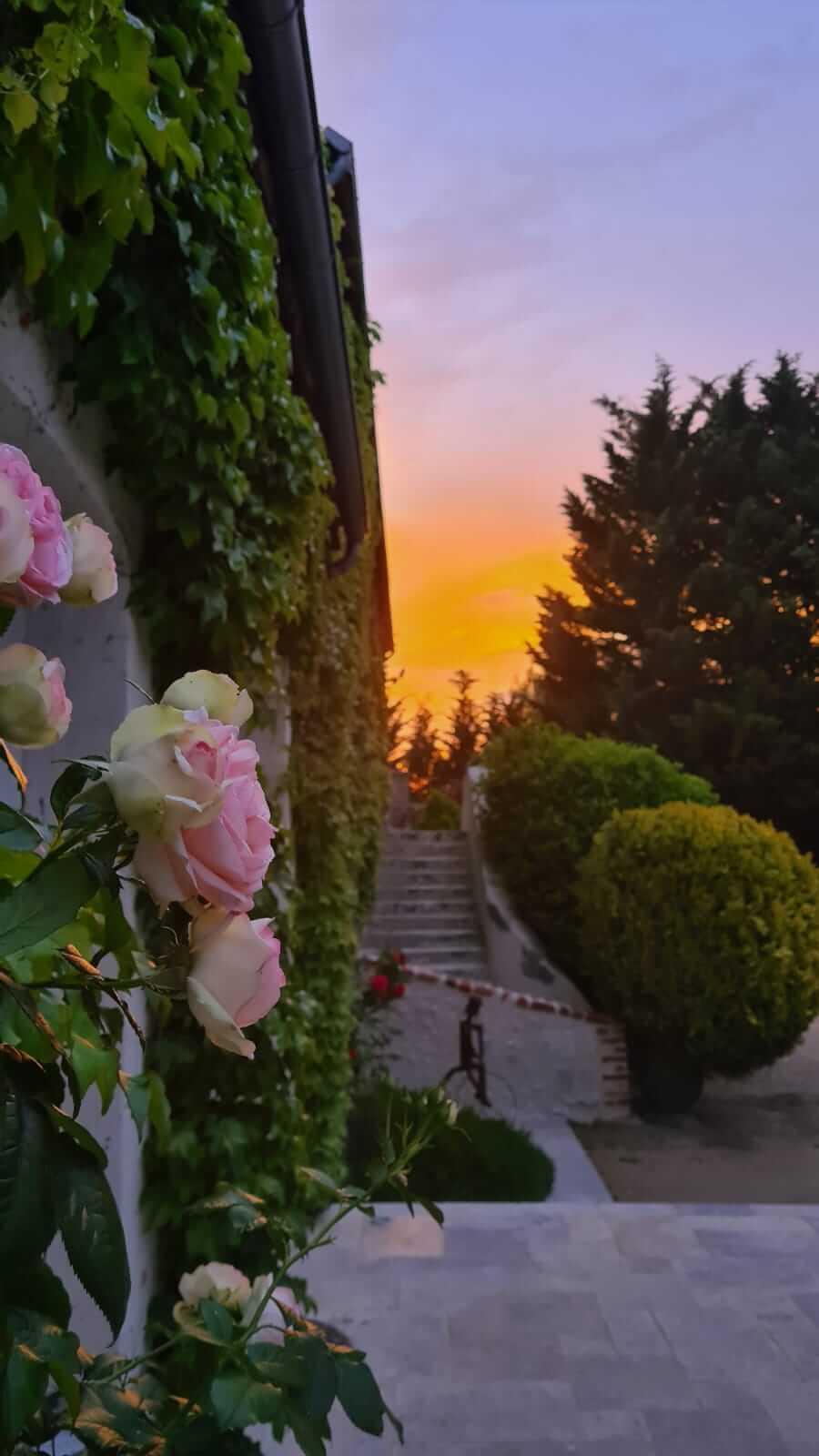 Domaine De La Blonnerie Bed & Breakfast Feings  Bagian luar foto
