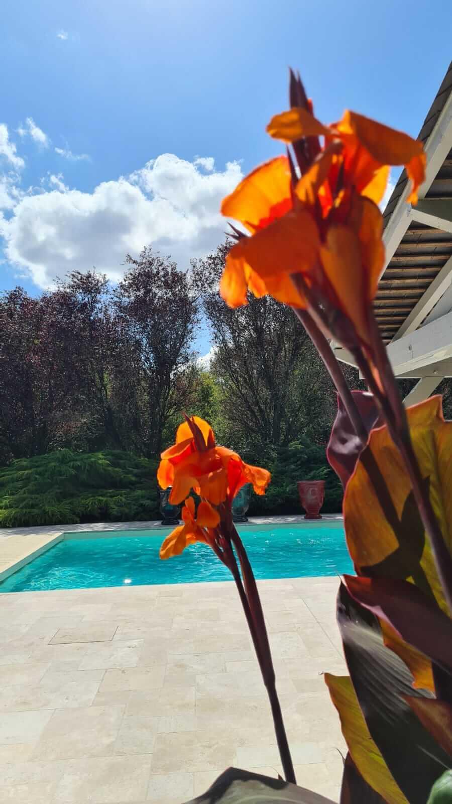 Domaine De La Blonnerie Bed & Breakfast Feings  Bagian luar foto