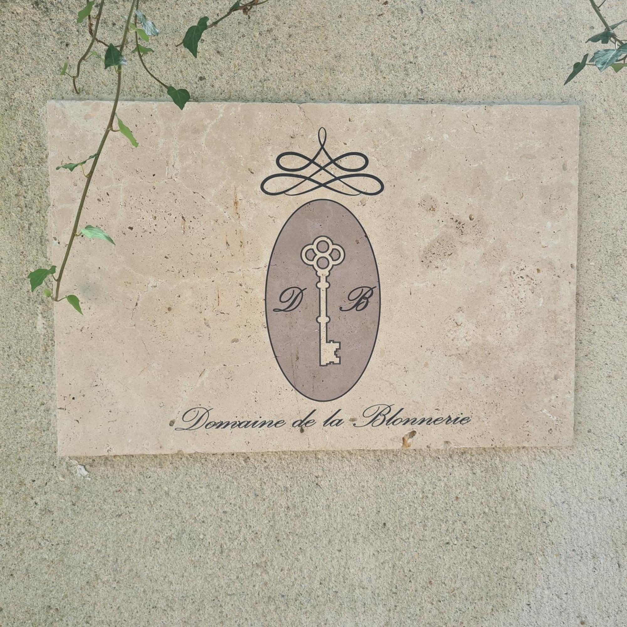 Domaine De La Blonnerie Bed & Breakfast Feings  Bagian luar foto