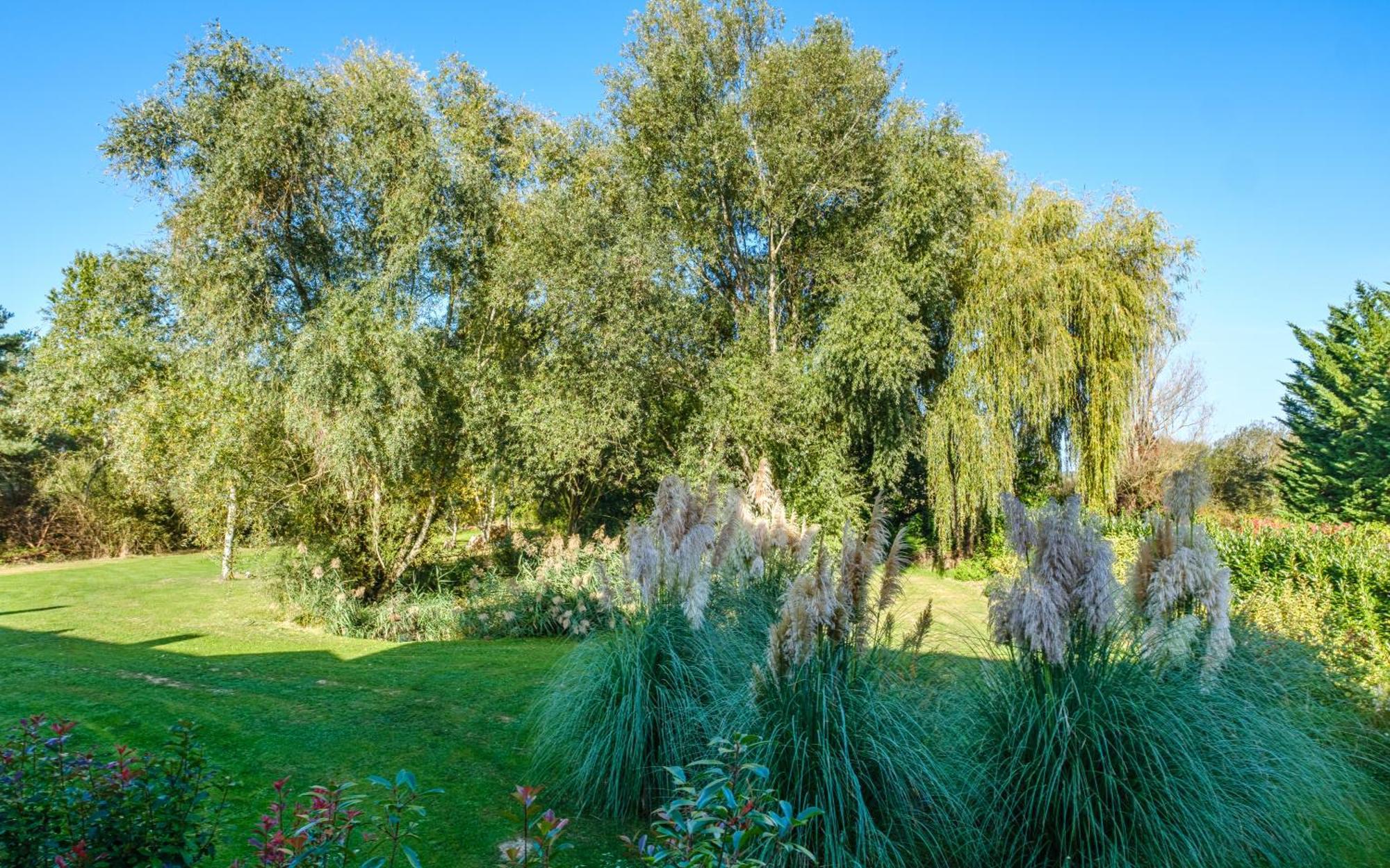 Domaine De La Blonnerie Bed & Breakfast Feings  Bagian luar foto